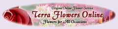 Terraflowers of Miami more than 12 years experience designin the mos exciting Bridal Bouquets and wedding floral arrangements in Miami, ... A piece of Art
